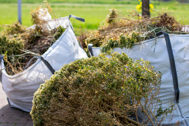Best Same-Day Junk Removal  in Lake Nacimiento, CA